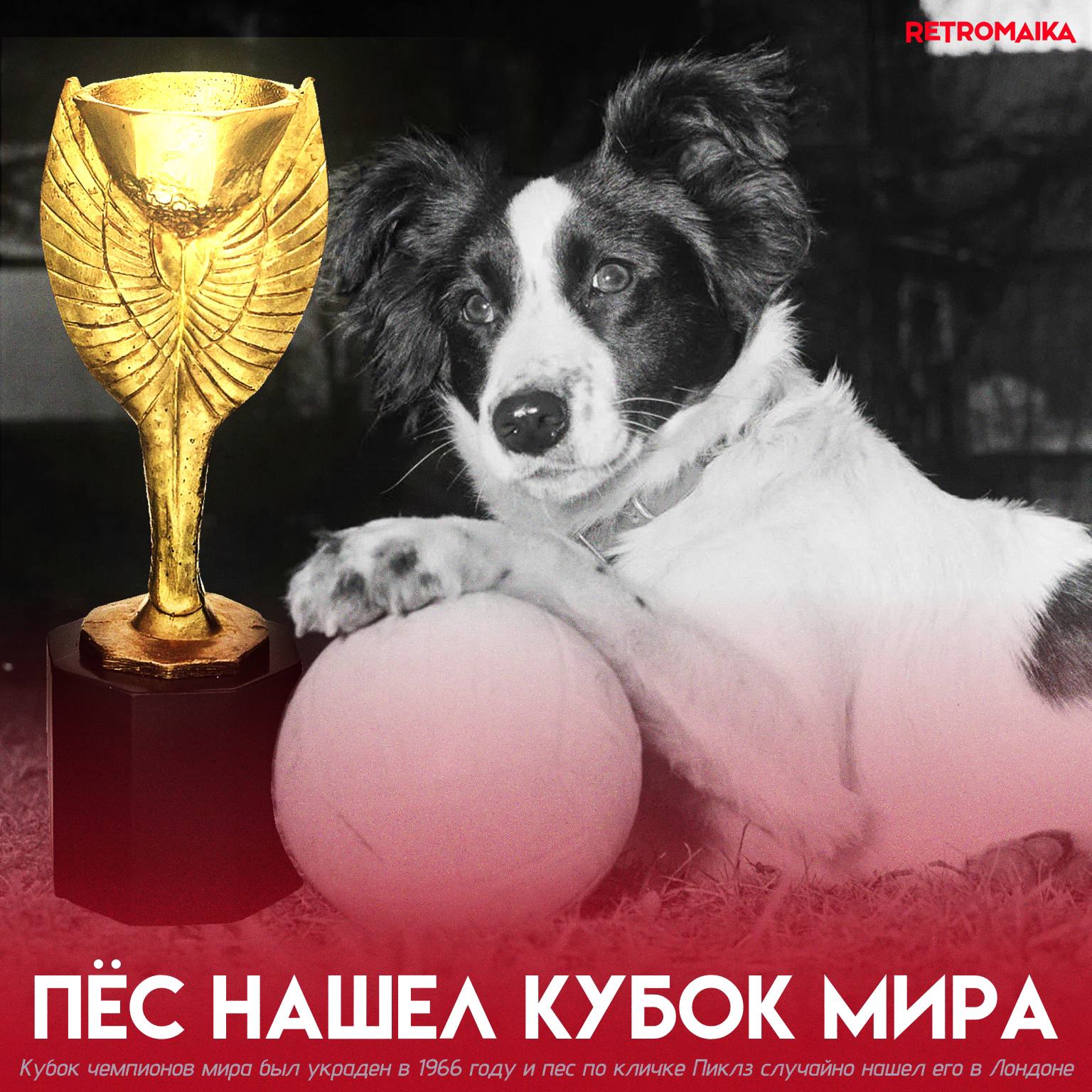 ХОРОШИЙ МАЛЬЧИК