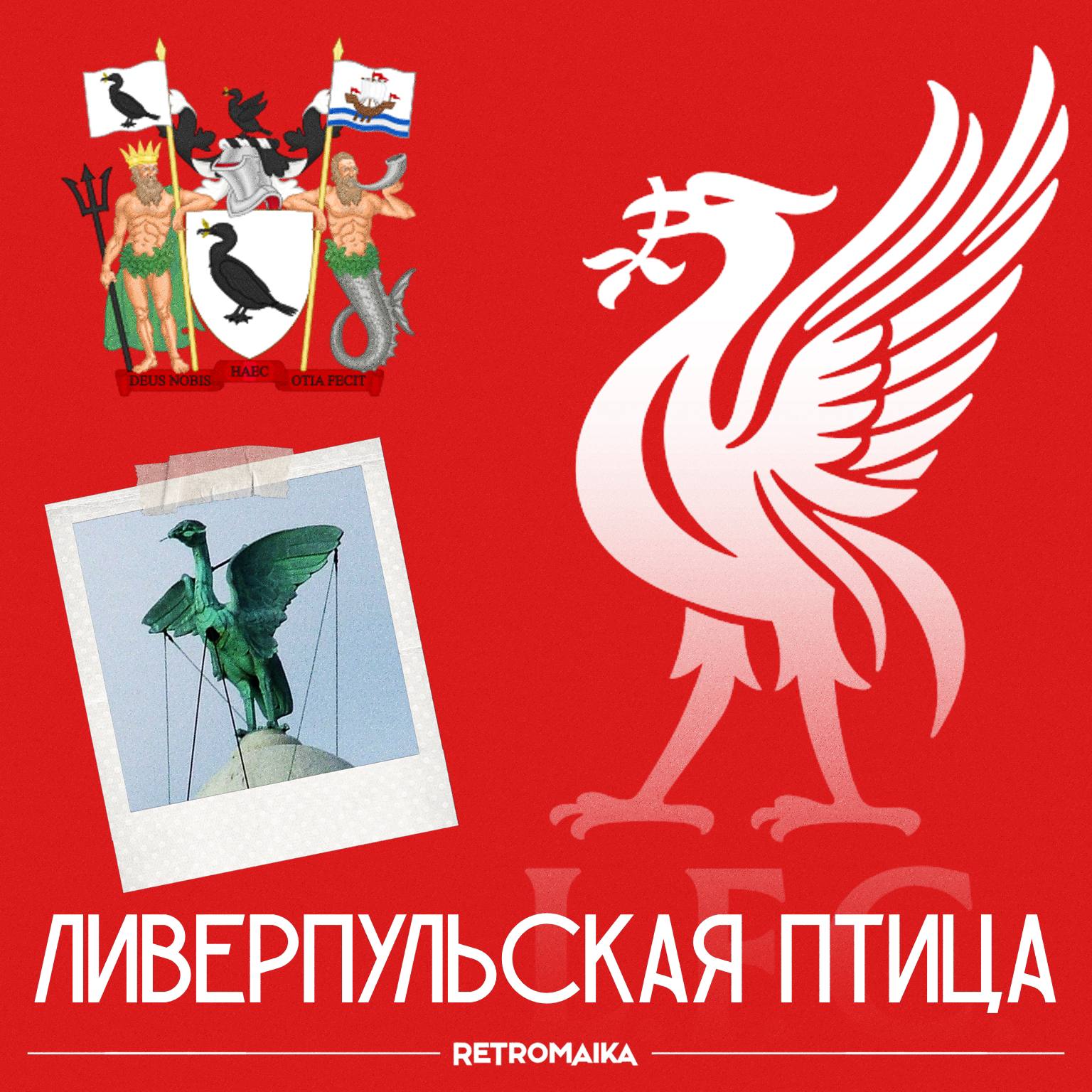 🐦🔥Почему у Ливерпуля на эмблеме несуществующая птица?