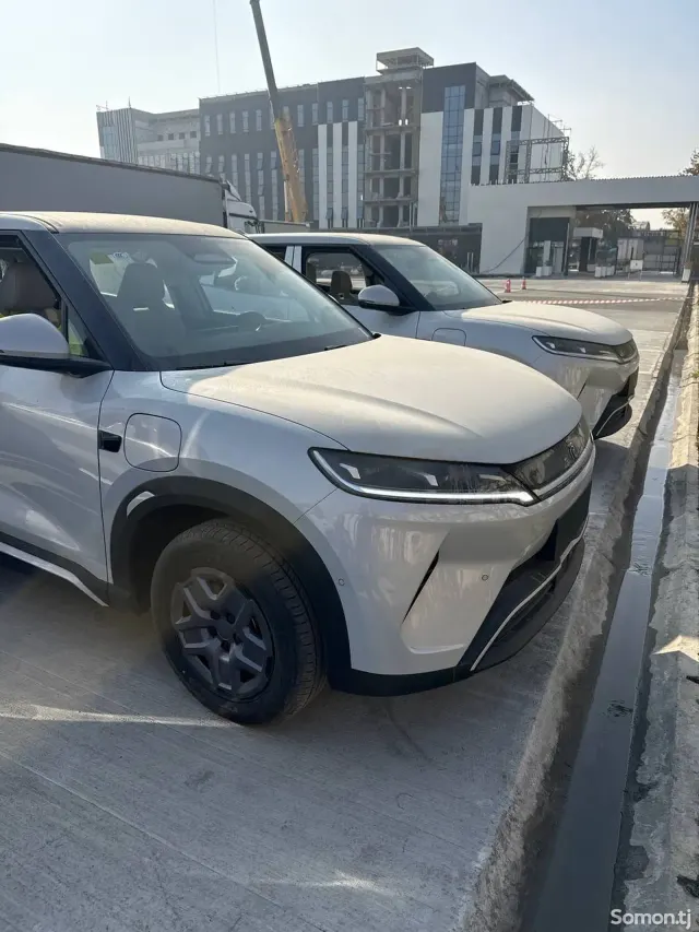 BYD Yuan Up 2025 · AMT