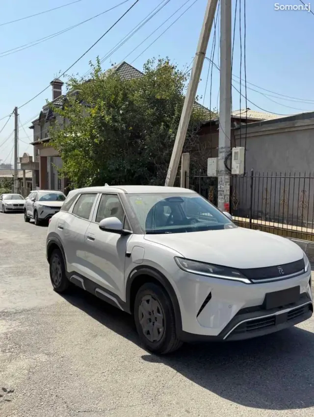 BYD Yuan Up 2025 · AMT