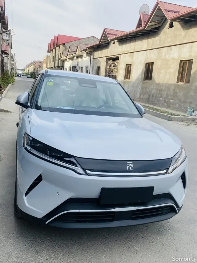 BYD Yuan Up 2025 · AMT