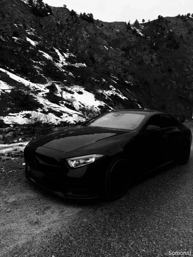 Mercedes-Benz CLS class 2019 · 3.5 AT