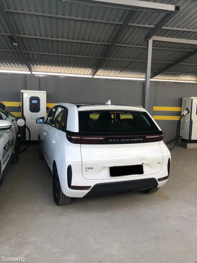 BYD D1 2021 · 2.0 AT