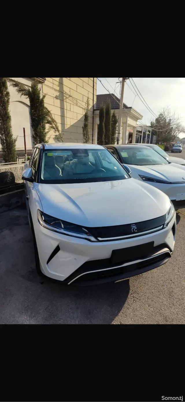 BYD Yuan Up 2025 · AT
