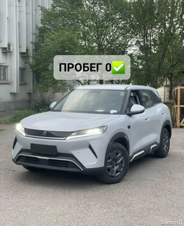 BYD Yuan Up 2025 · AMT