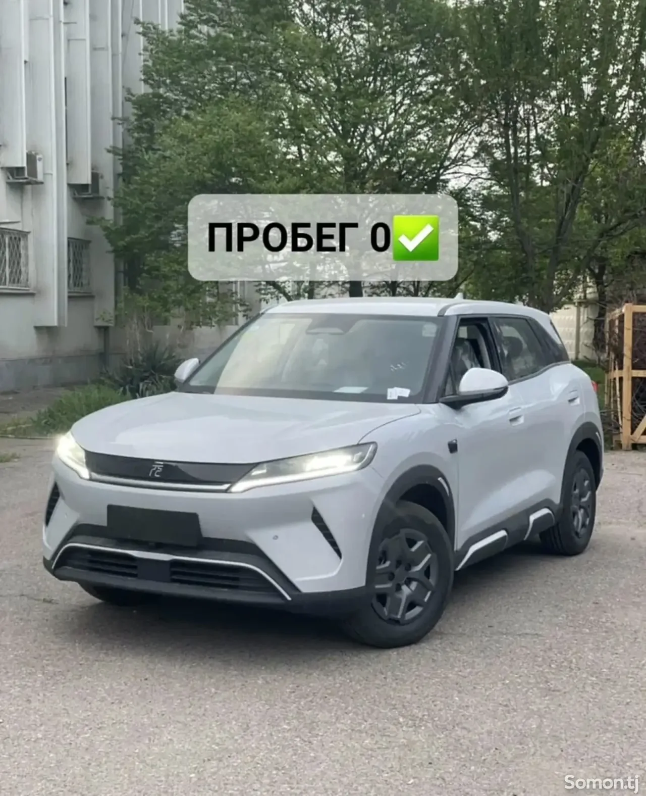 BYD Yuan Up 2025 · AMT