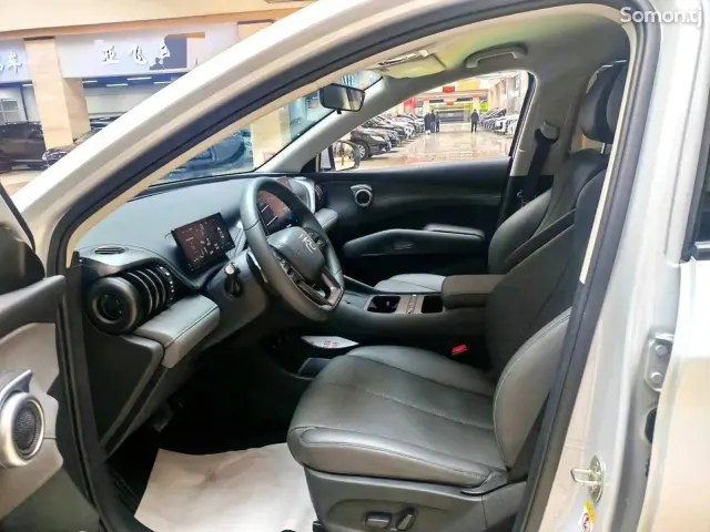 BYD Yuan Plus 2025 · AT