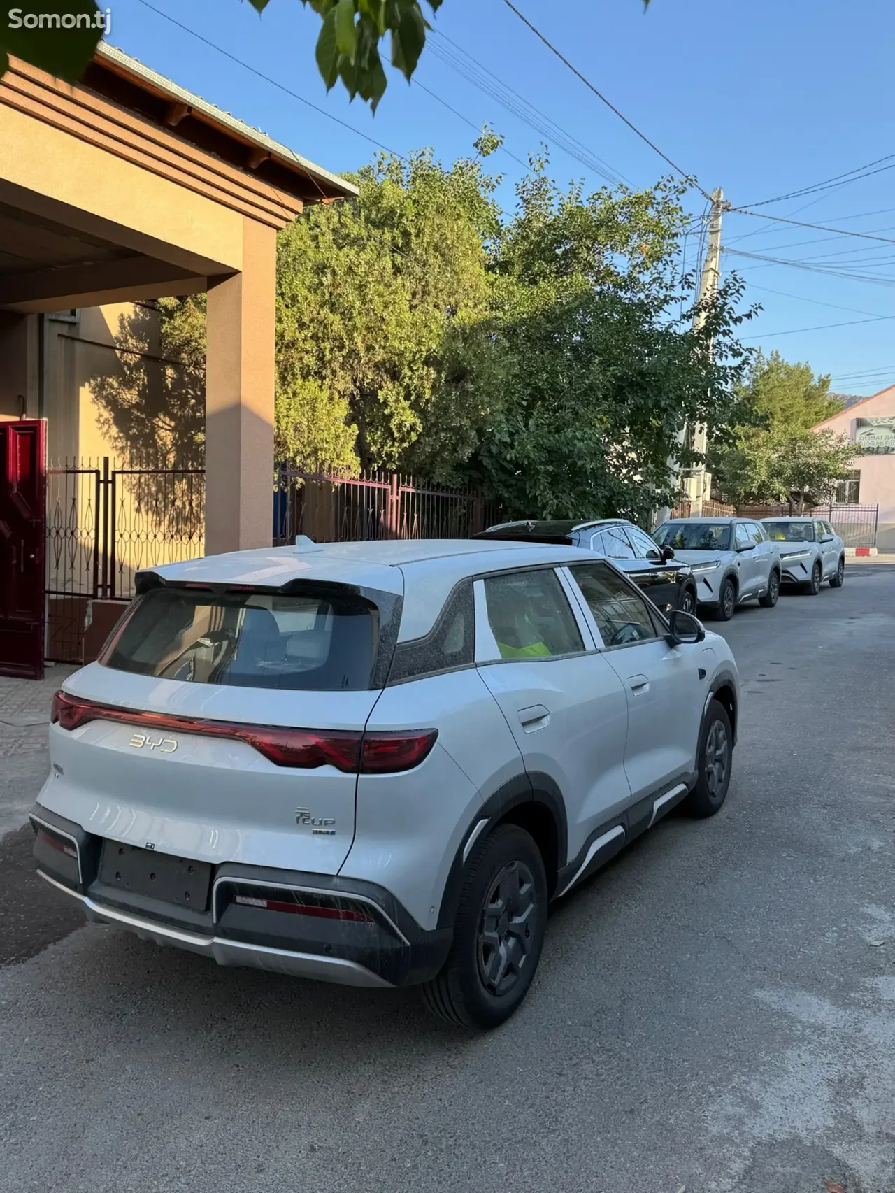 BYD Yuan Up 2025 · AMT