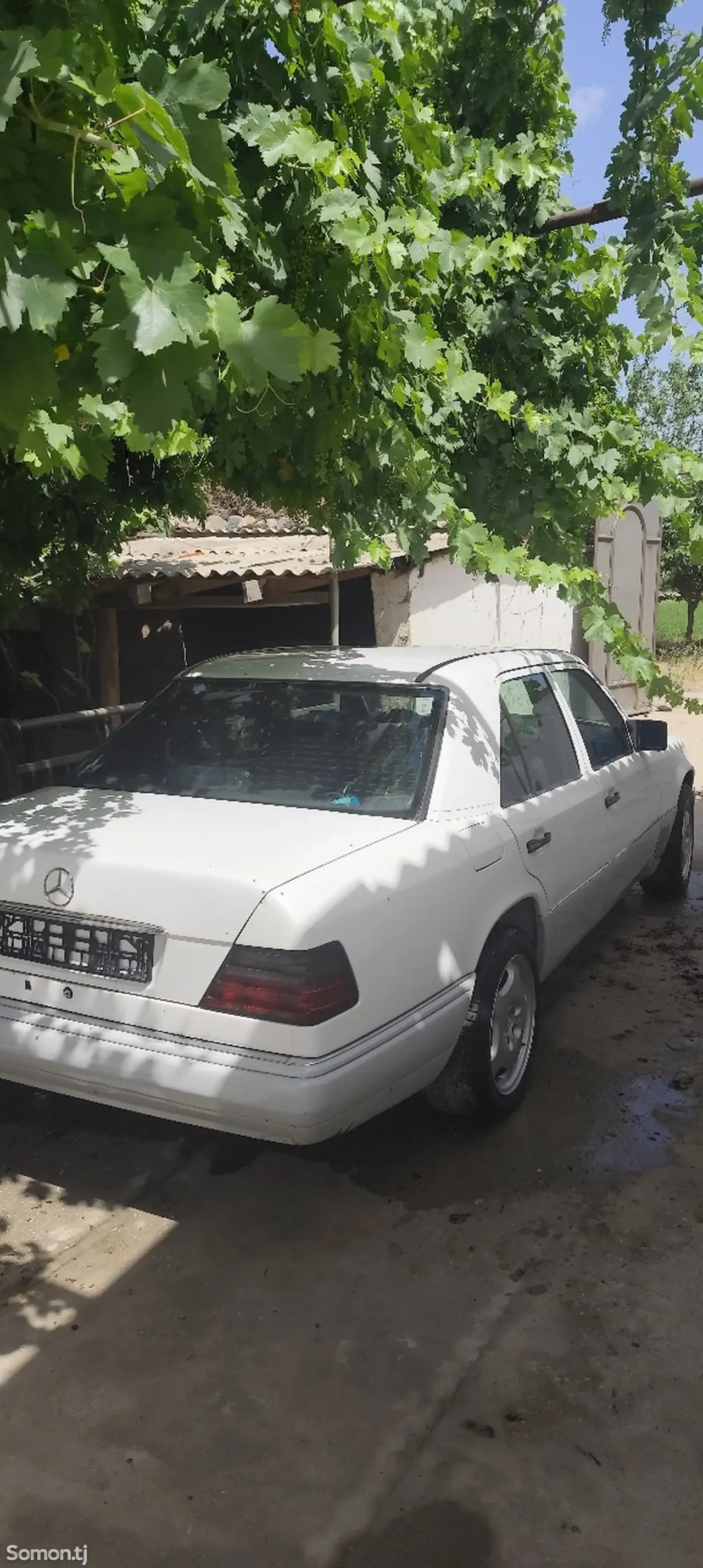 Mercedes-Benz W124 1994 · 2.2 MT