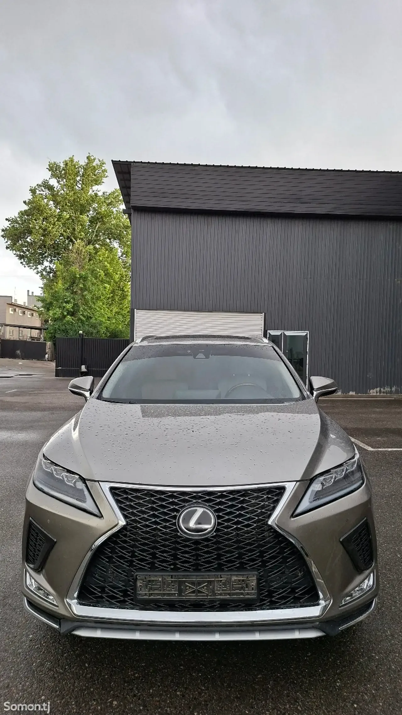 Lexus RX series 2018 · 3.5 AT