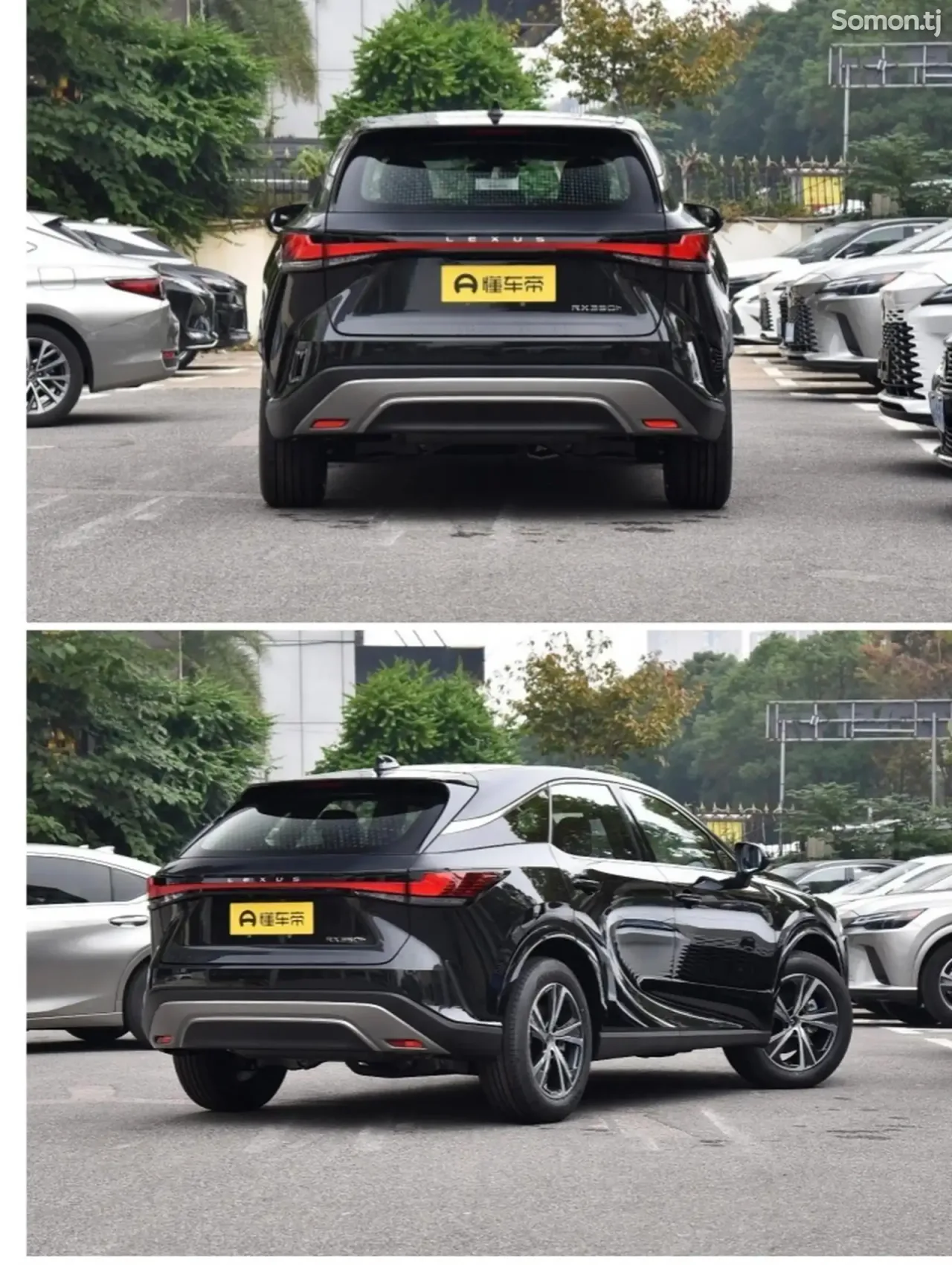 Lexus RX series 2025 · 2.5 AT