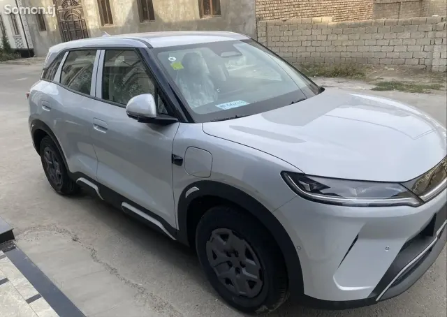 BYD Yuan Up 2025 · AMT