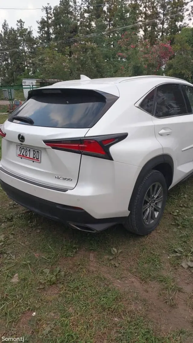Lexus NX series 2017 · 2.0 AT