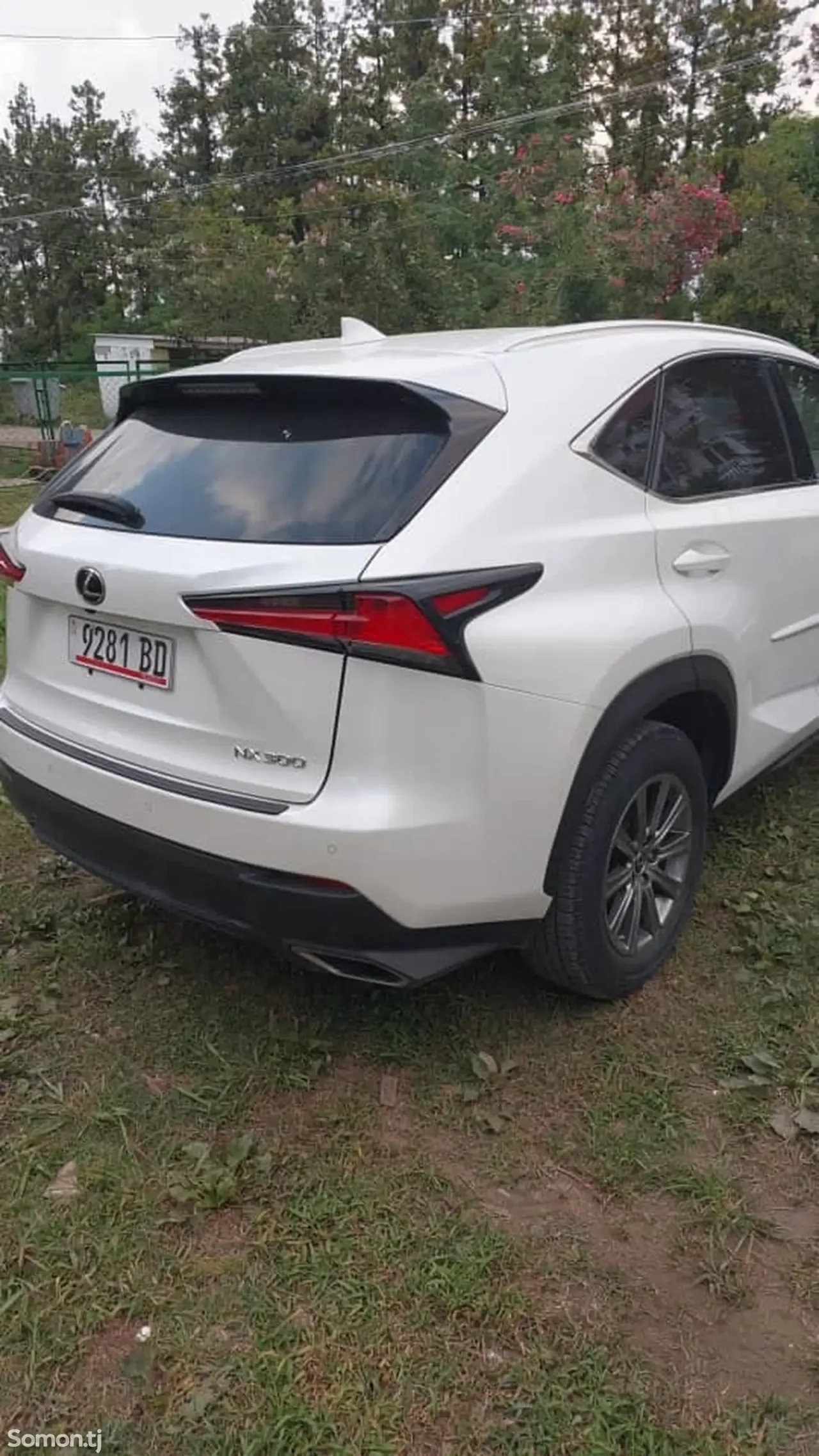 Lexus NX series 2017 · 2.0 AT