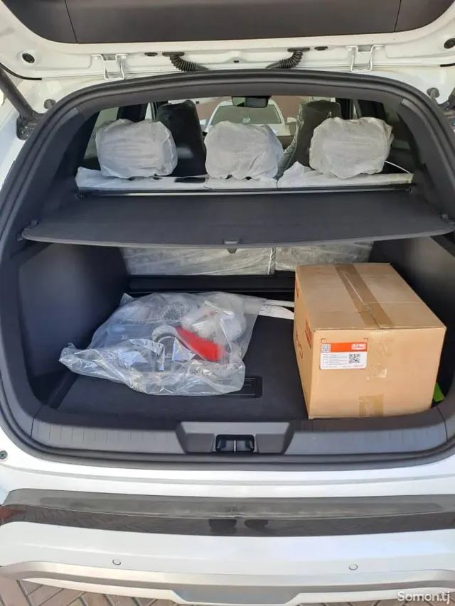 BYD Song Plus 2025 · AMT