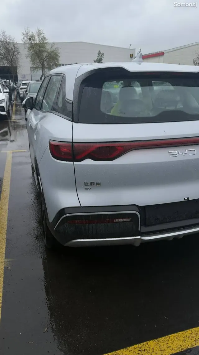 BYD Yuan Up 2025 · AMT