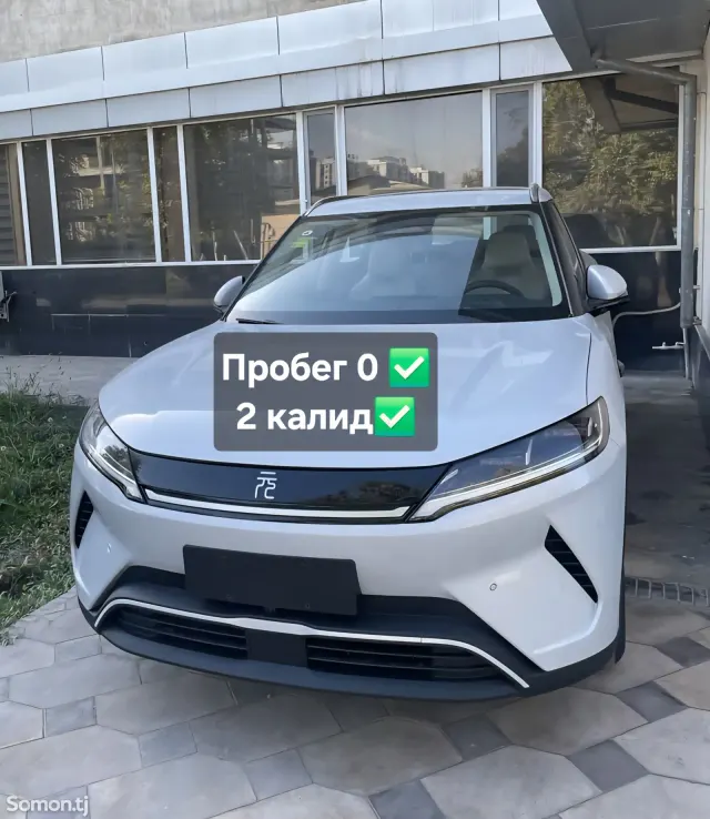 BYD Yuan Up 2025 · AMT