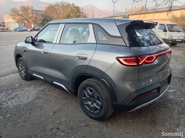 BYD Yuan Up 2025 · AMT