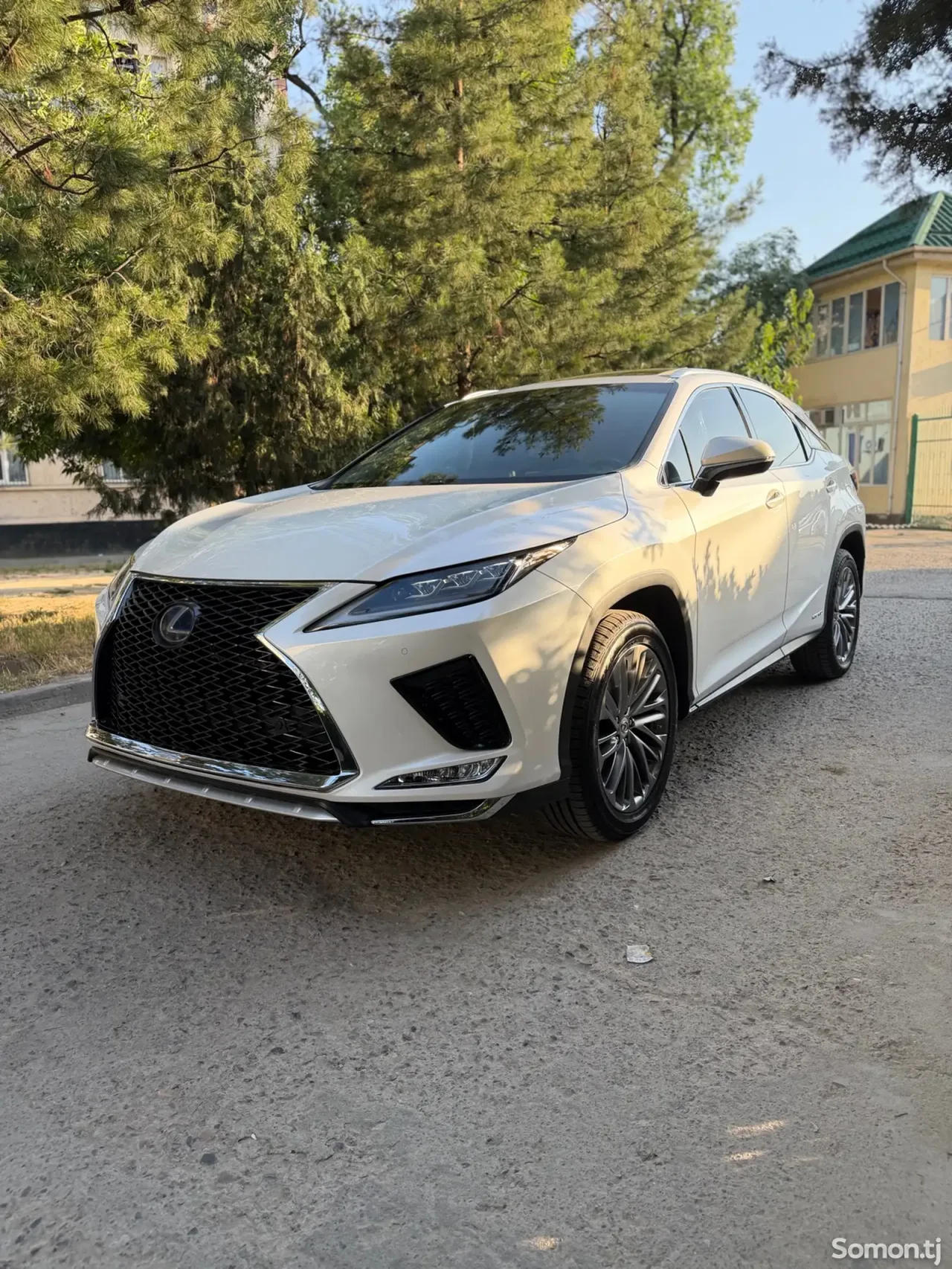 Lexus RX series 2019 · 4.5 AT