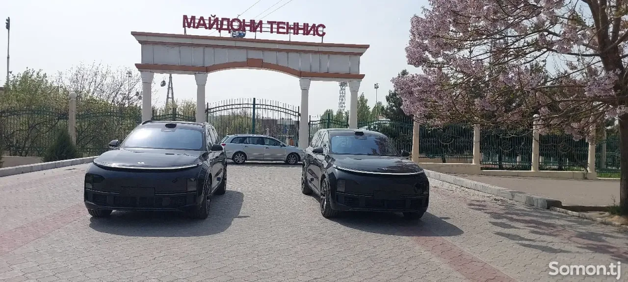 Li Auto (Lixiang) L9 2025 · 1.5 AMT
