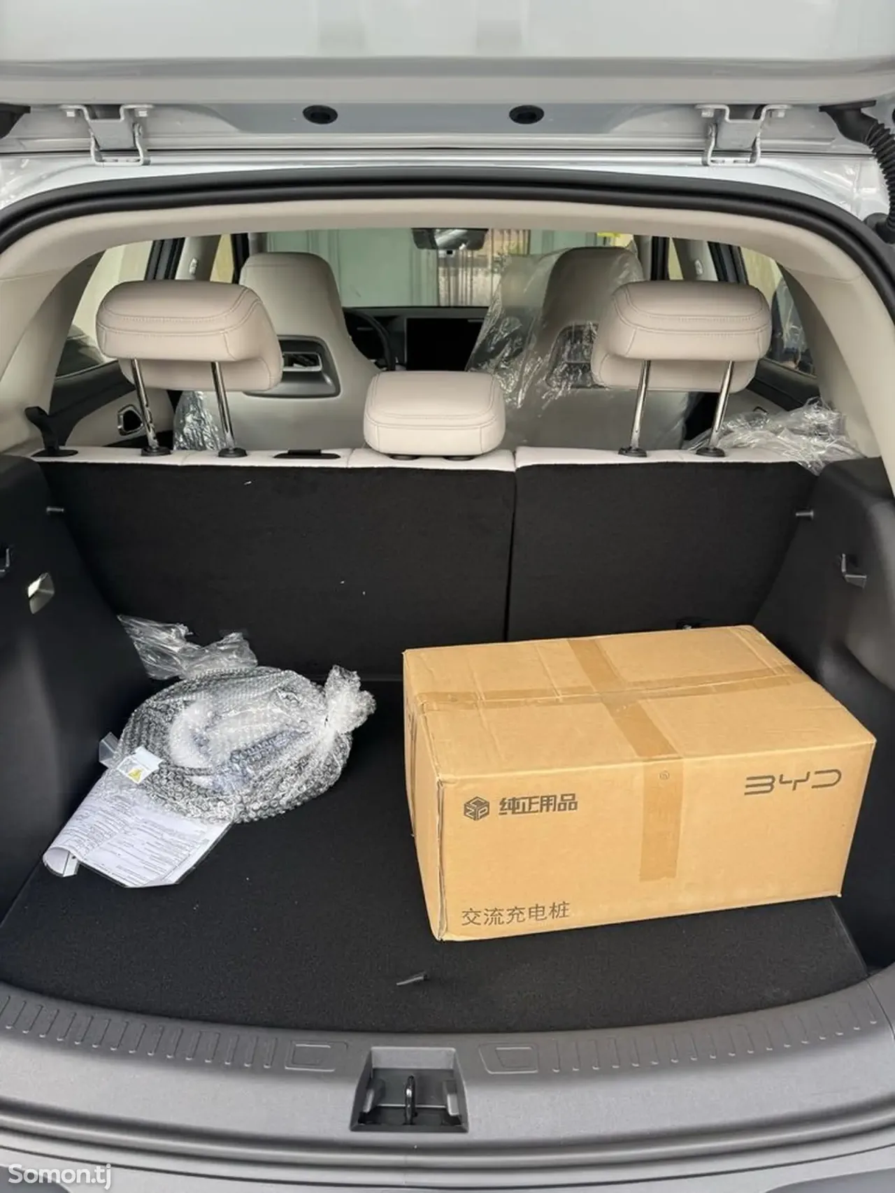 BYD Yuan Up 2025 · AMT