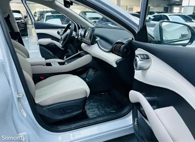 BYD Yuan Plus 2025 · AT