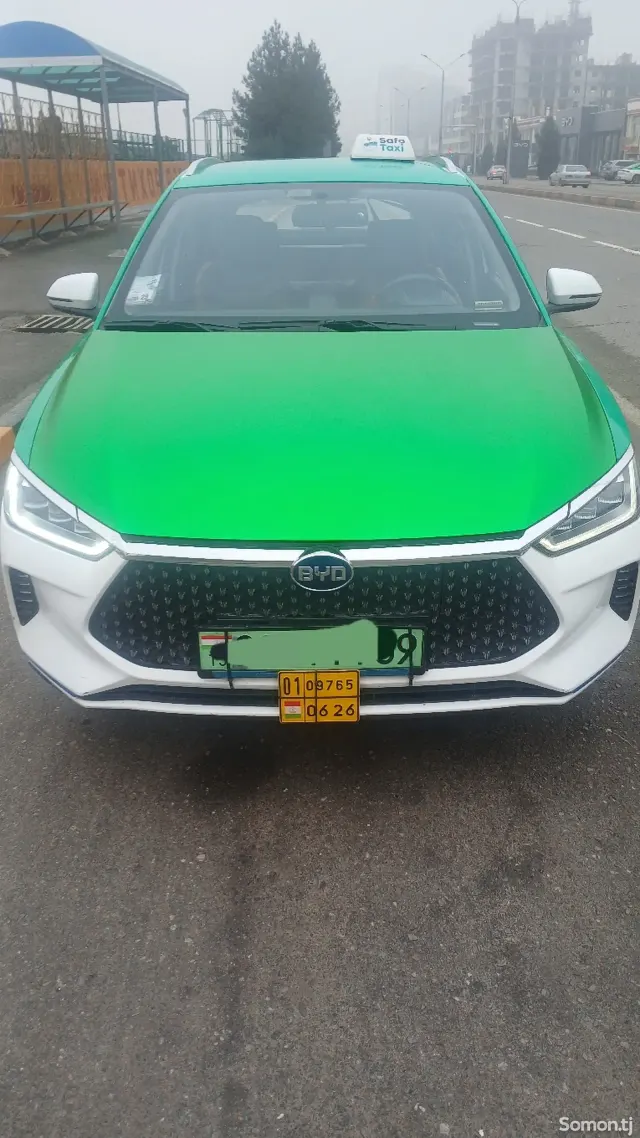 BYD E2 2021 · AT