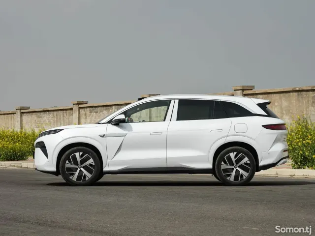 BYD Tang 2025 · AT
