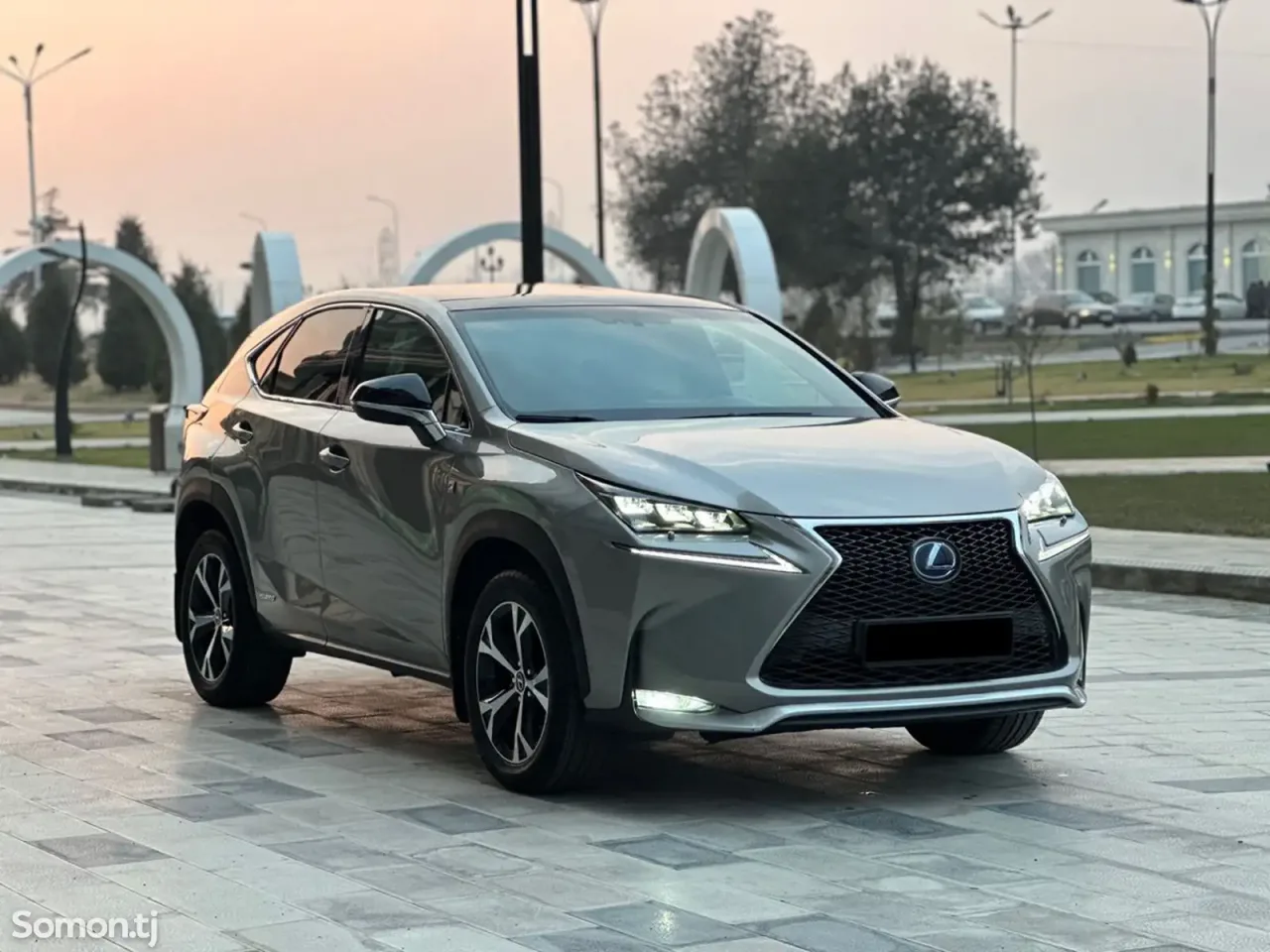 Lexus NX series 2019 · 3.0 AT
