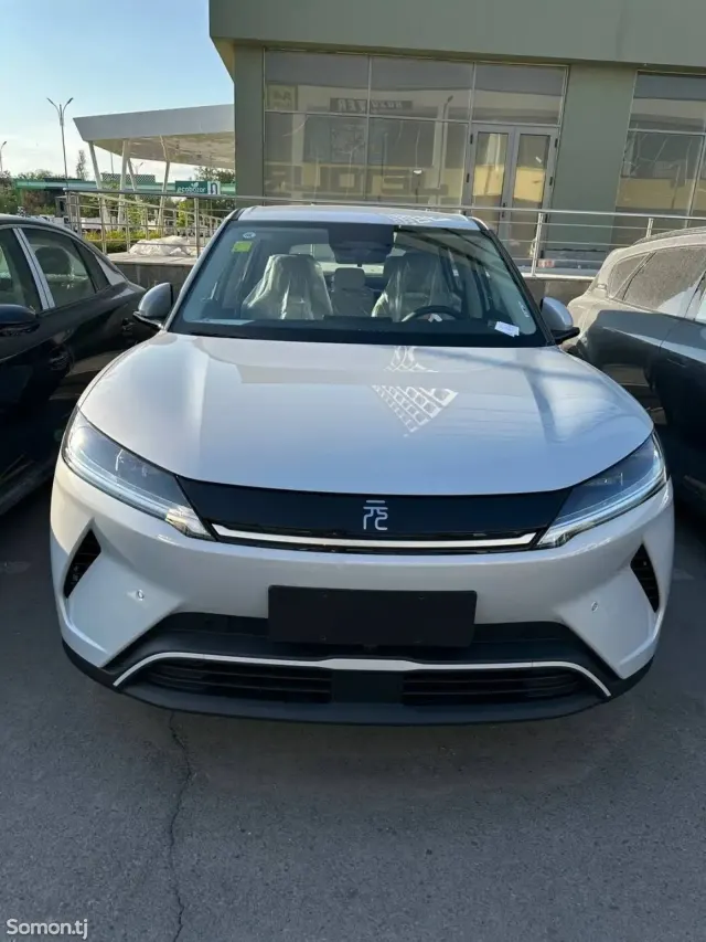 BYD Yuan Up 2025 · AMT