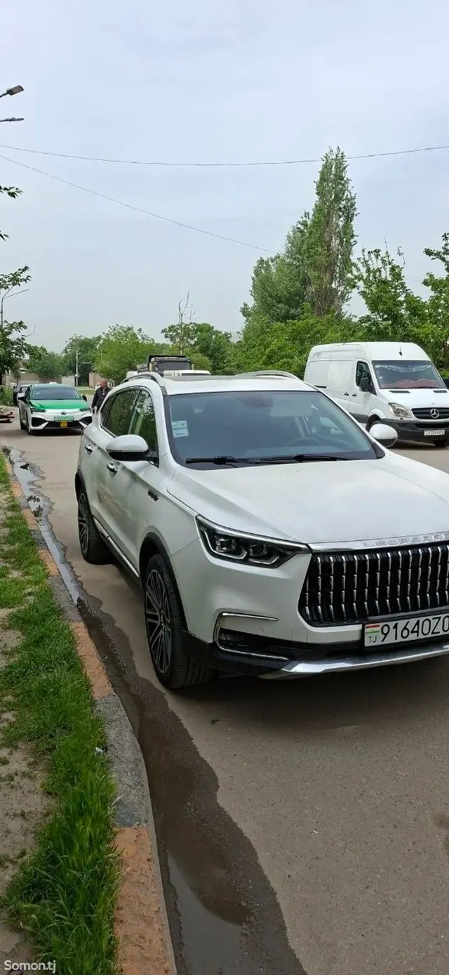 Leopaard Mattu 2018 · AT