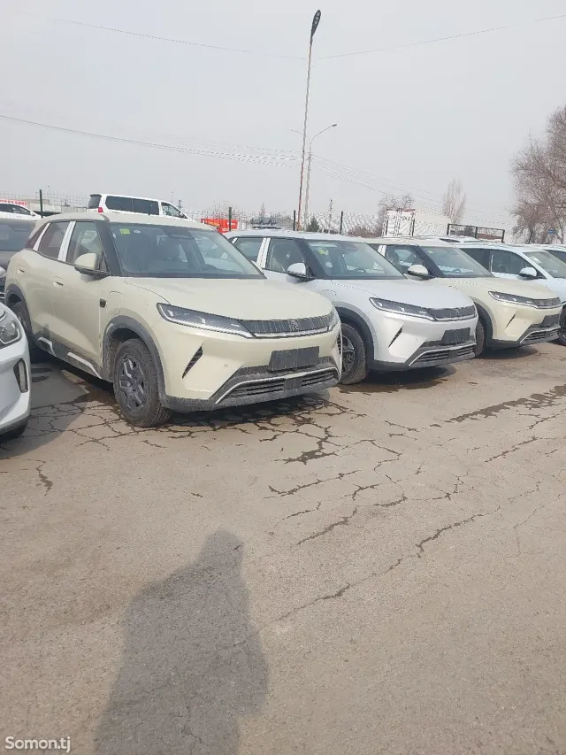 BYD Yuan Up 2025 · 2.2 AT