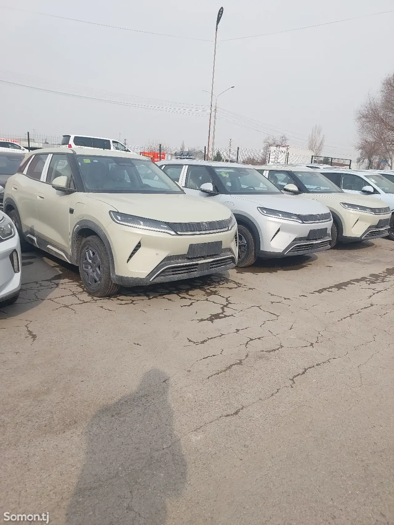 BYD Yuan Up 2025 · 2.2 AT