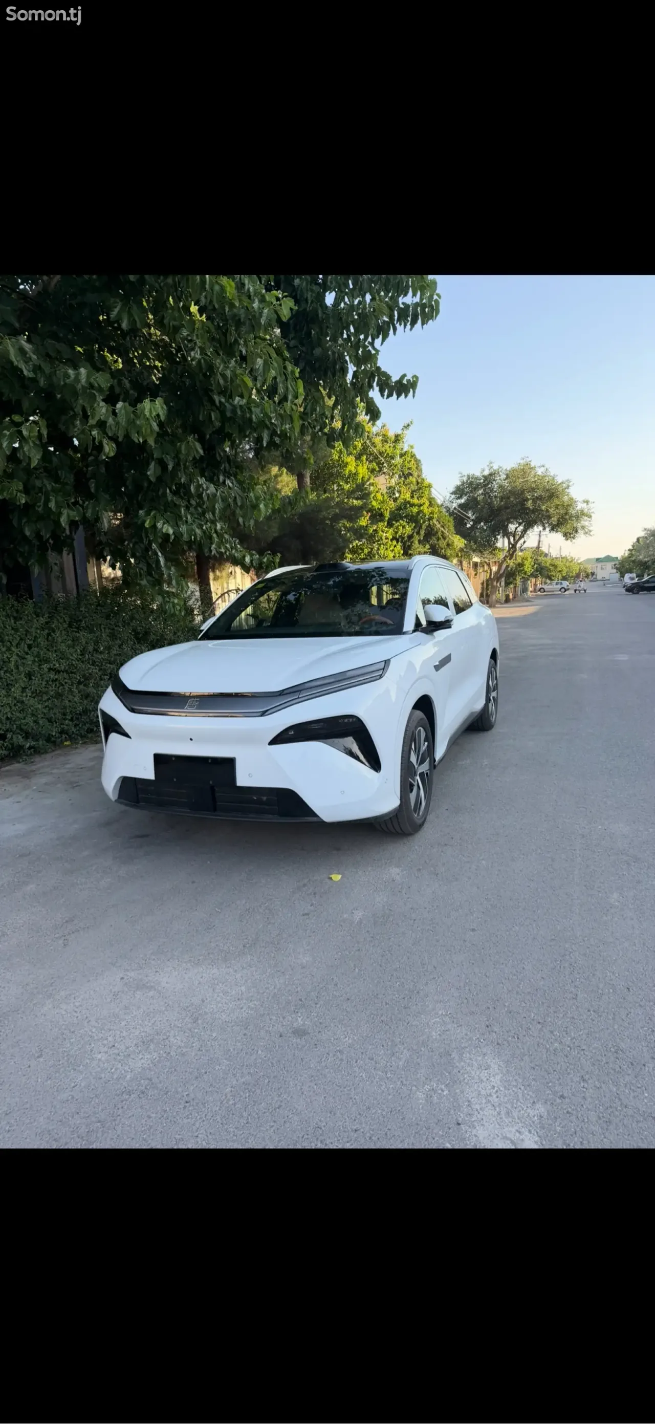 BYD Tang 2025 · AT