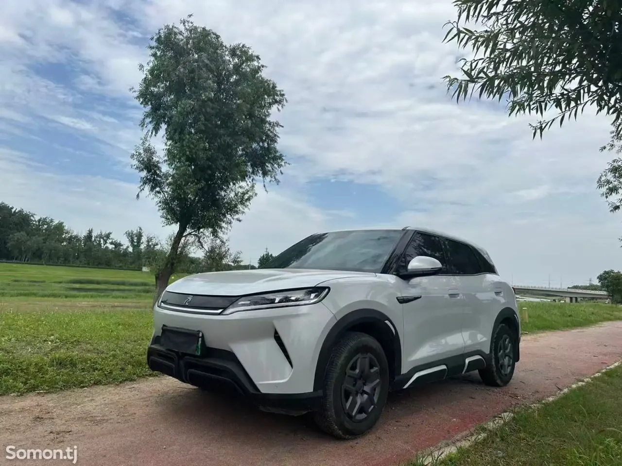 BYD Yuan Up 2024 · AT