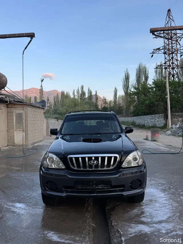 Hyundai Terracan 2002 · 2.9 AT
