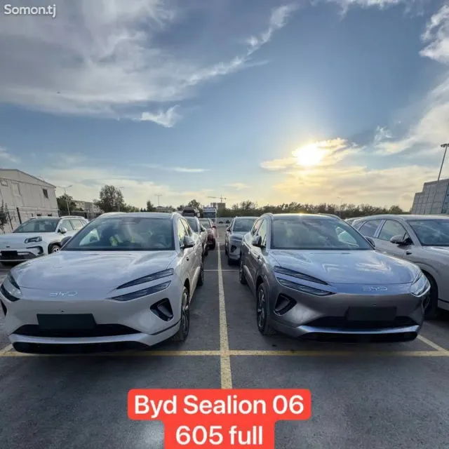 BYD Sea Lion 06 2025 · 2.1 AT