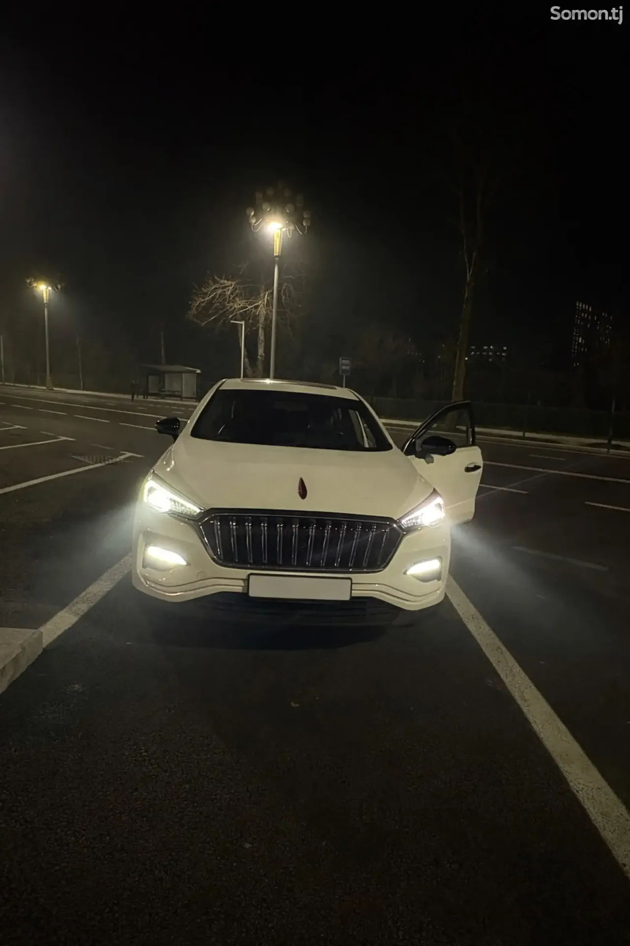 Hongqi E-HS3 2019 · AT
