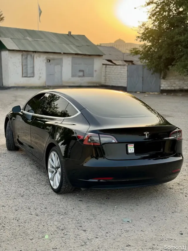 Tesla Model 3 2019 · AMT