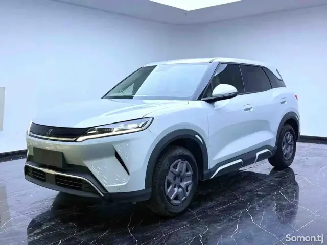 BYD Yuan Up 2025 · AT