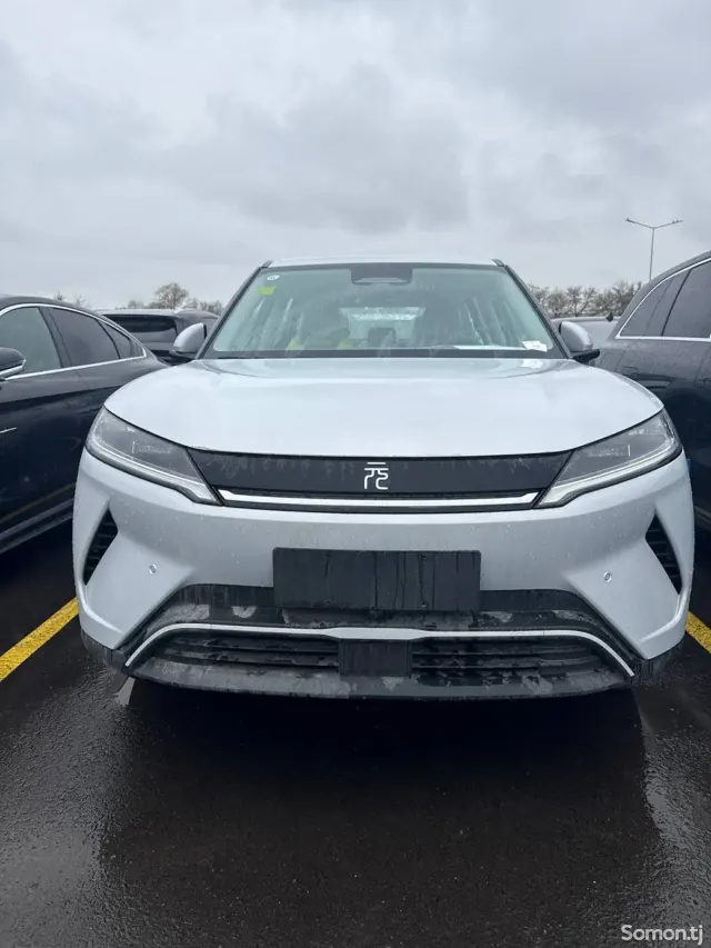 BYD Yuan Up 2025 · AMT