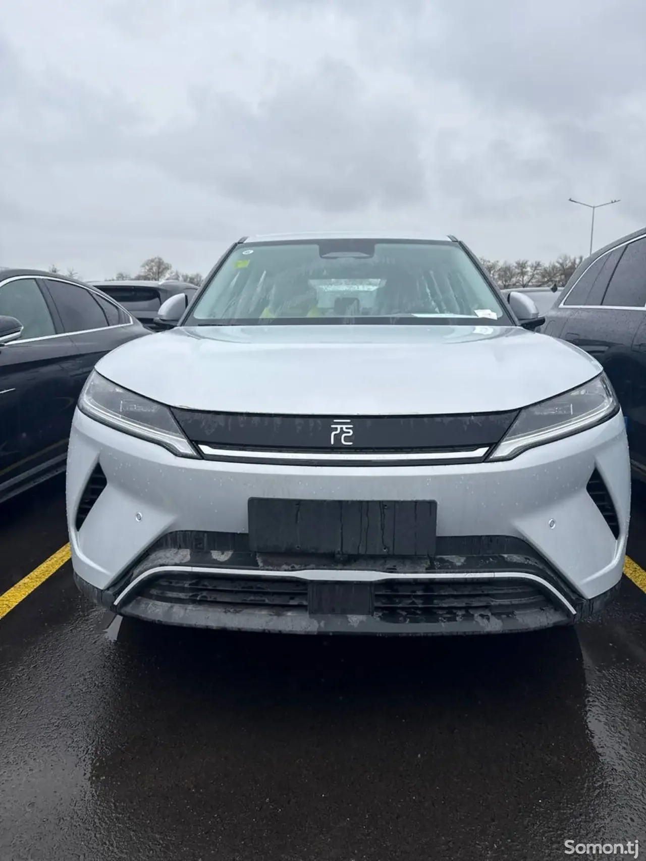 BYD Yuan Up 2025 · AMT