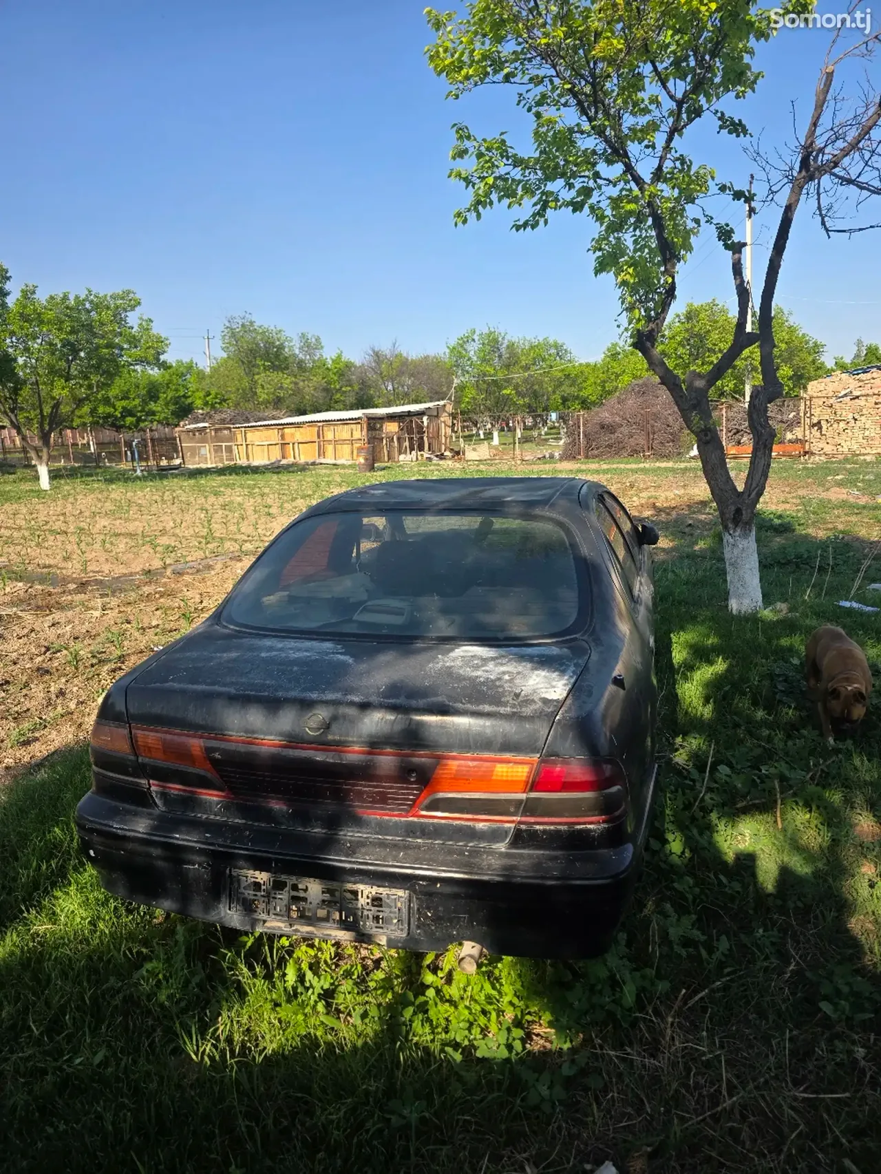 Nissan Maxima 1997 · 2.0 AT
