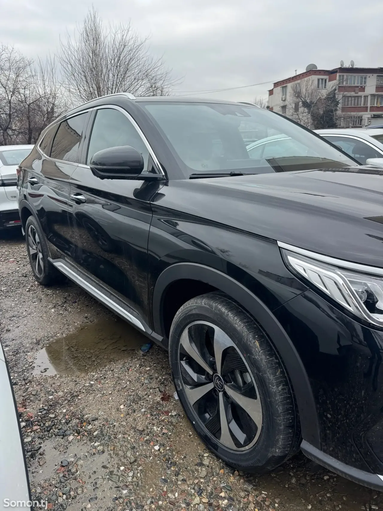BYD Song Plus 2024 · AT