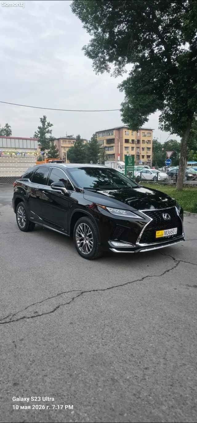 Lexus RX series 2019 · 4.5 AT