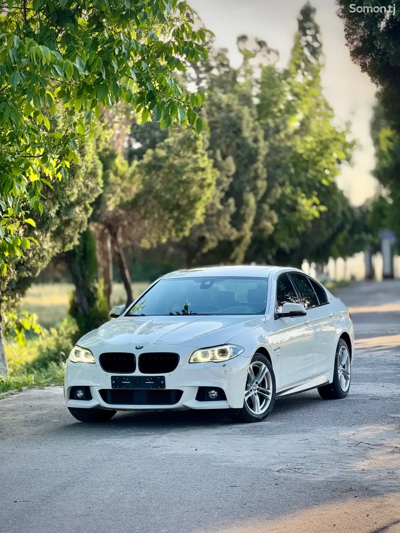 BMW 5 series 2016 · 2.0 AT