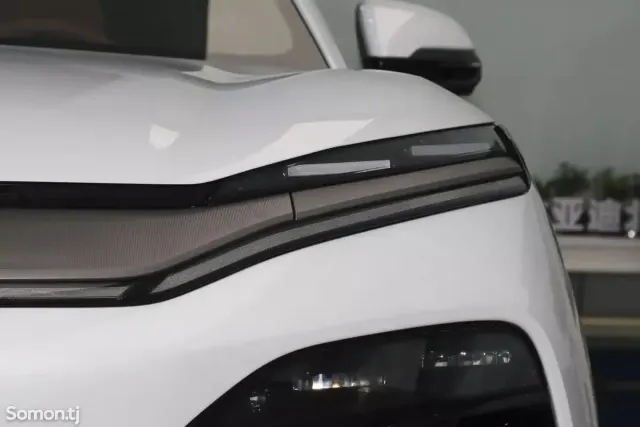 BYD Tang 2025 · AMT