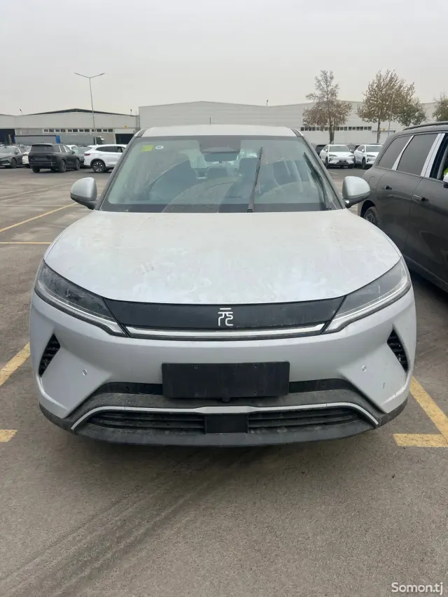 BYD Yuan Up 2025 · AMT