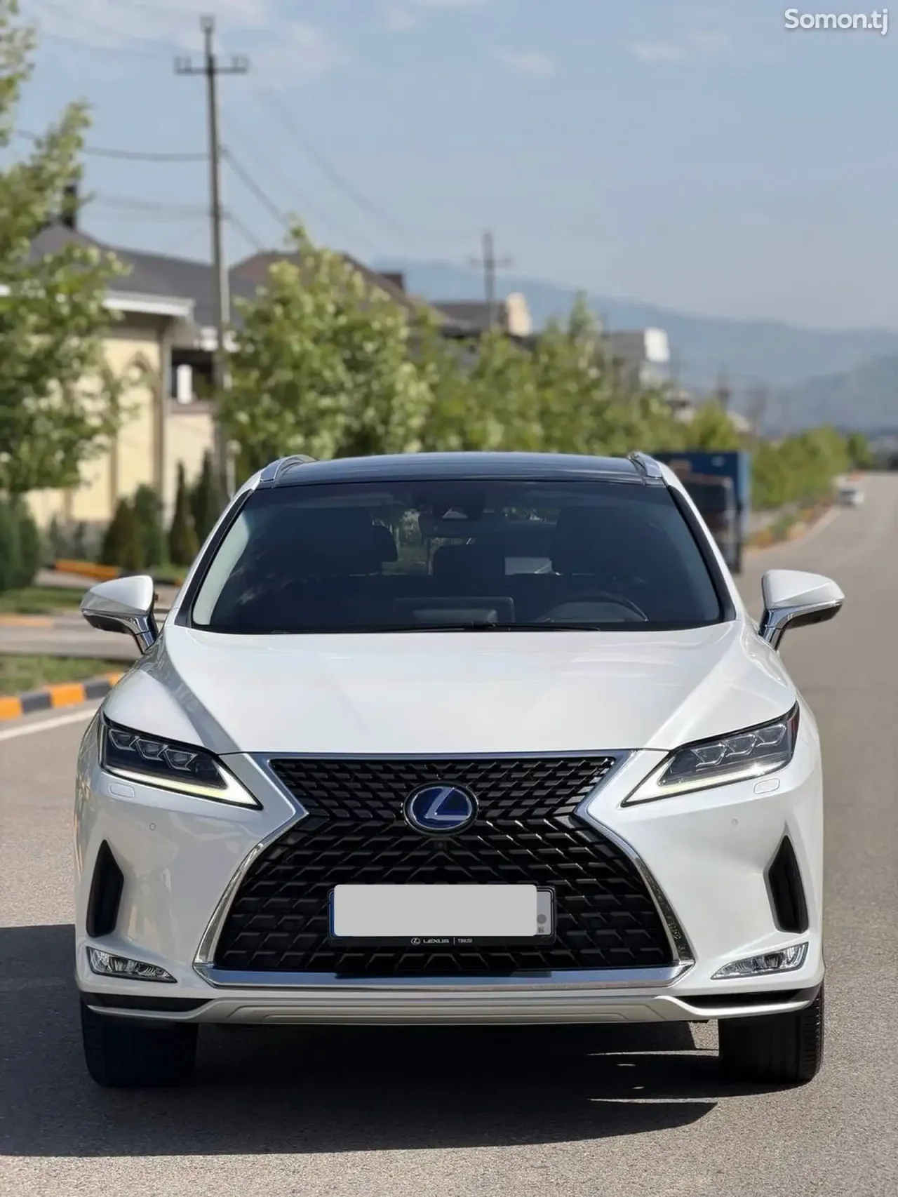 Lexus RX series 2020 · 4.5 AT