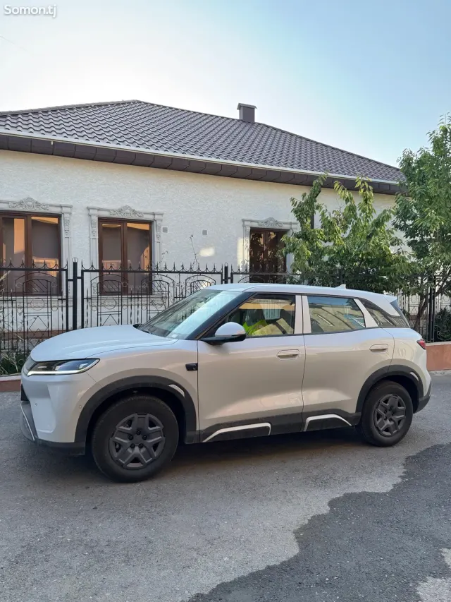 BYD Yuan Up 2025 · AMT